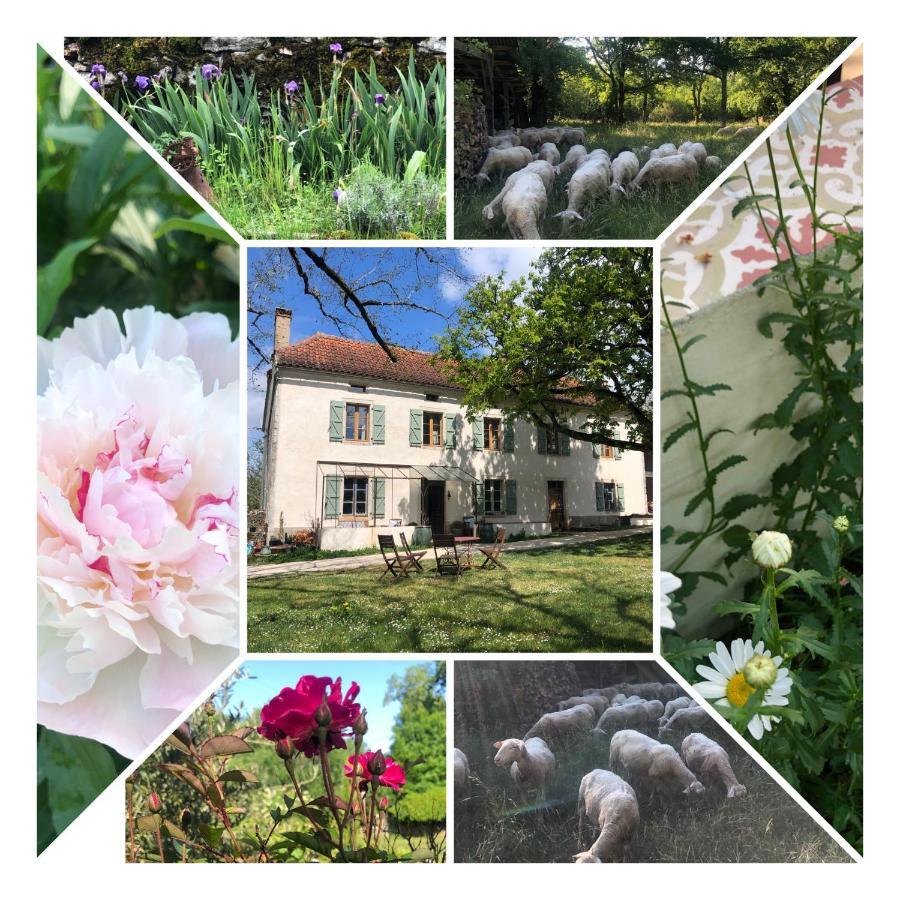 Bed and Breakfast Mas D'Aubrac Limogne-en-Quercy Экстерьер фото