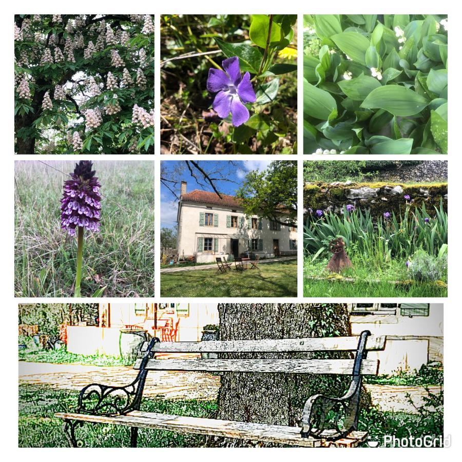 Bed and Breakfast Mas D'Aubrac Limogne-en-Quercy Экстерьер фото